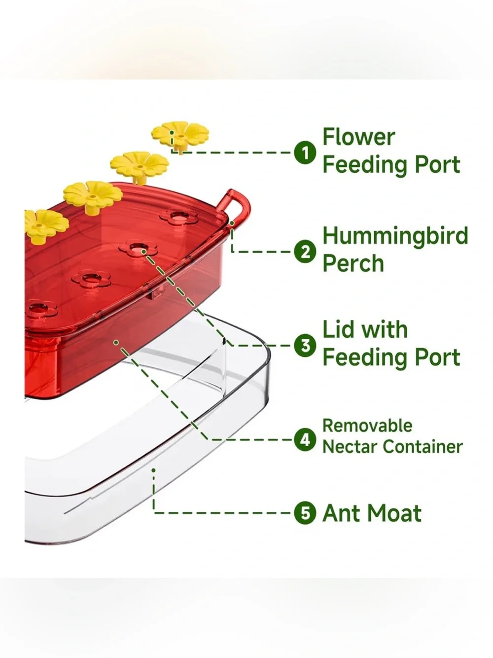 Window Hummingbird Feeder with Strong Suction Cups